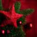 Stella di Natale - Fonte Pixabay Congerdesign