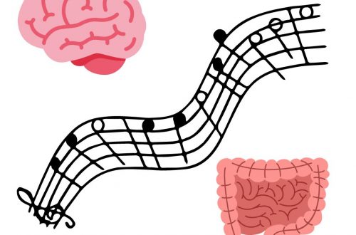 Musica, cervello e intestino | correlazione