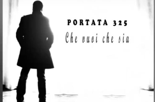 Che vuoi che sia - Portata 325